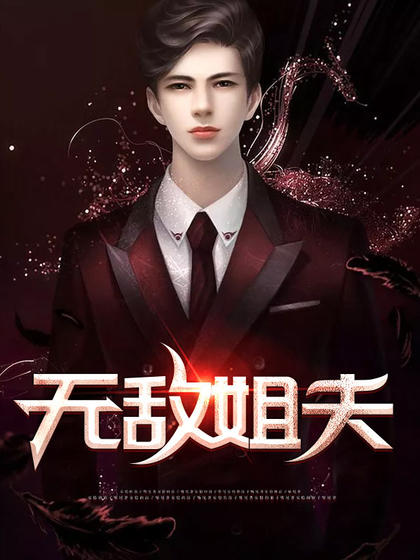无敌姐夫小说几女主