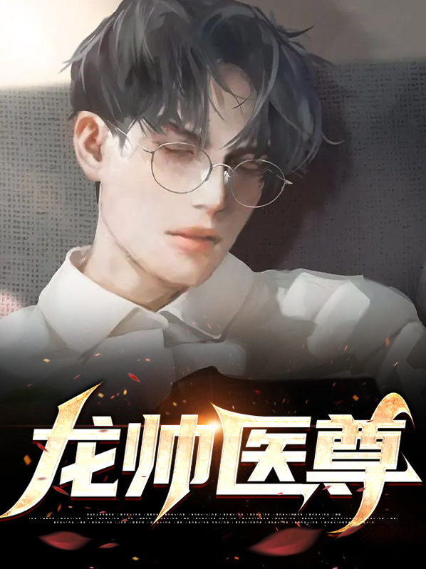 龙帅医尊叶风