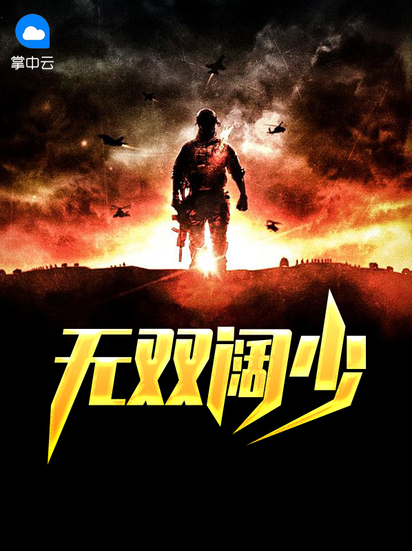小说 无双