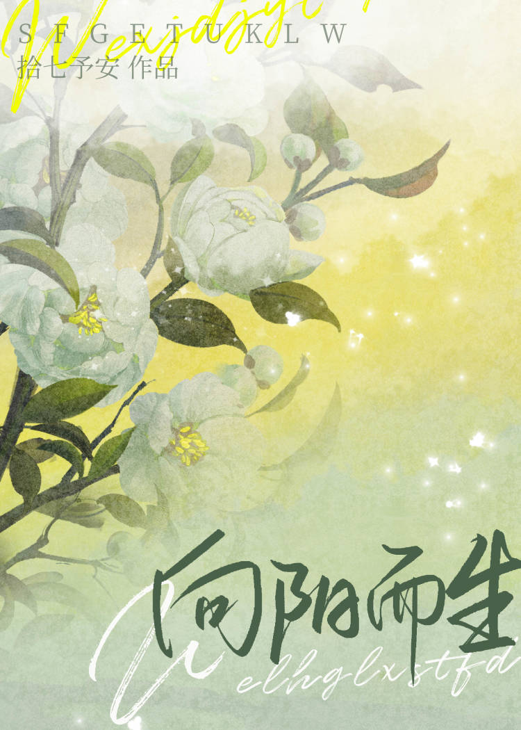 我就宠我老婆怎么了[娱乐圈]txt百度网盘