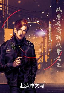 从军火商到战争之王无错版阅读