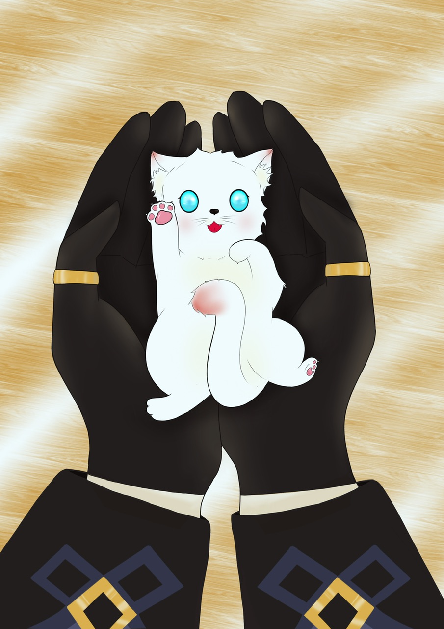 原神今天猫猫也在努力生存百度网盘