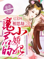 魔君的小娇妃全文阅读