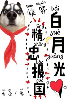 白月光精忠报国[快穿]txt
