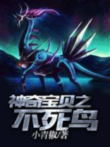 神奇宝贝之不死鸟的传说免费阅读