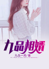 九品相婿人物结局