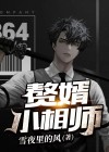 赘婿相亲