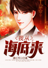 我从海底来 小说