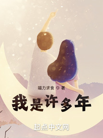 四合院之我是许多年 小说