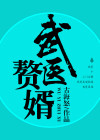 武医赘婿林风柳寒冰
