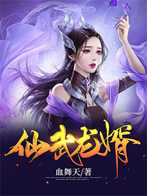 仙武龙婿