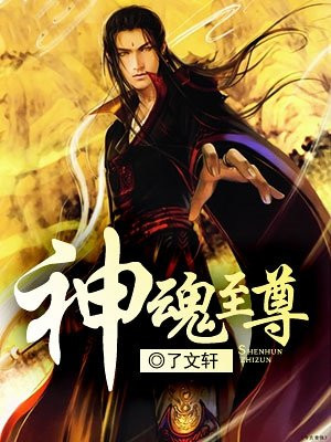 神魂至尊慕枫大师好坏?