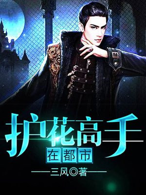 夏天乔小乔全文免费阅读护花高手在都市