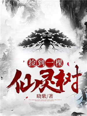 捡到一棵仙灵树的小说