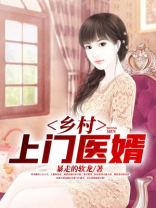 乡村小医婿 王凡