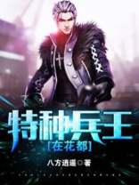 特种兵王在花都 小说