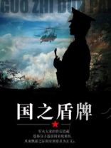 国之盾牌王隐