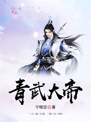 星武大帝小说