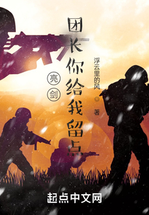 亮剑:团长你给我留点下载