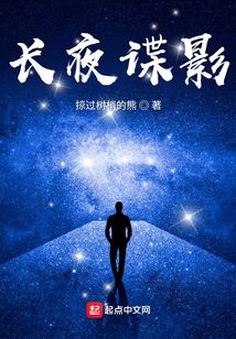 长夜谍影TXT电子书全集下载