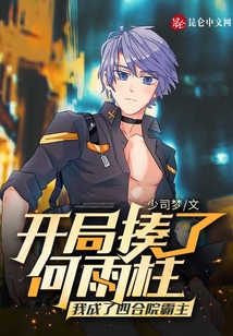 开局揍了何雨柱我成了四合院霸主 小说 免费