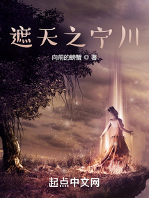 遮天之宁川小说