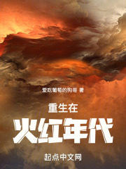 重生在火红年代李青风