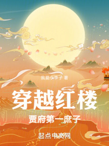 穿越红楼小说拯救贾府
