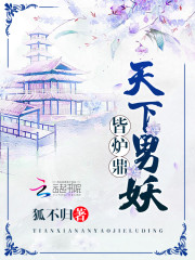 天下男妖皆炉鼎狐不归百度云下载