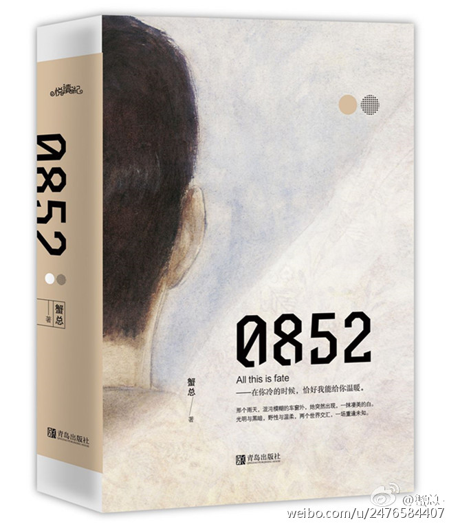 0852小说蟹总讲的什么