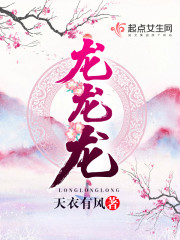 龙龙龙小说是讲什么的