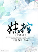穿越之妹控长沟落月讲的什么