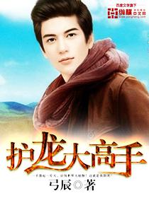 护龙一族