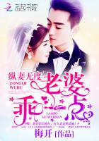 纵妻无度:老婆,乖一点!