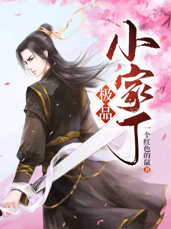 极品家丁29