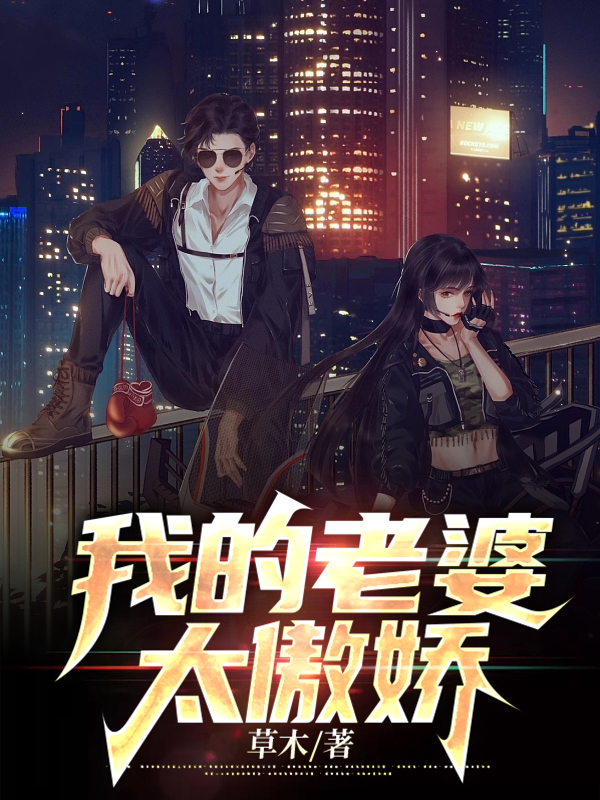 我的老婆太傲娇