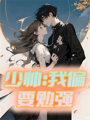 少帅偏执