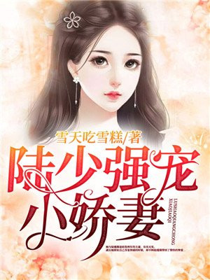 陆少强宠小娇妻全文免费