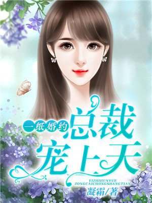 一纸婚约:总裁宠上天小说