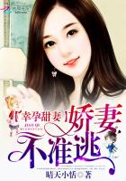 幸孕宠妻