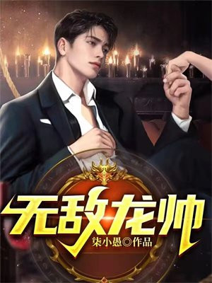 无敌龙帅俏佳人小说