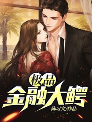 极品金融大鳄 小说