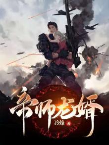 帝师龙婿电视剧
