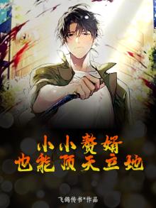 小小赘婿大大天地什么歌