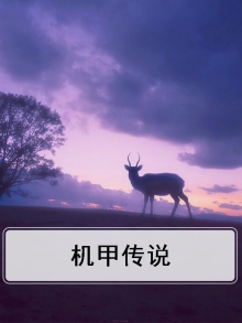 机甲传说