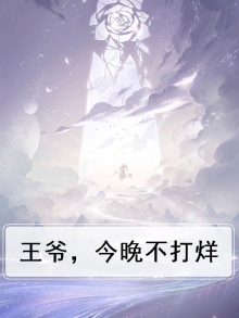 王爷,今晚不打烊