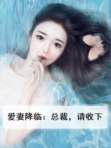 爱妻降临：总裁，请收下