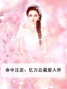 命中注定爱上你穆依依