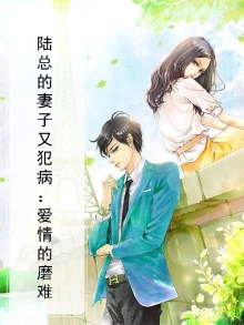 陆总的电视剧陆总电视剧
