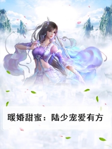 陆少暖婚甜妻